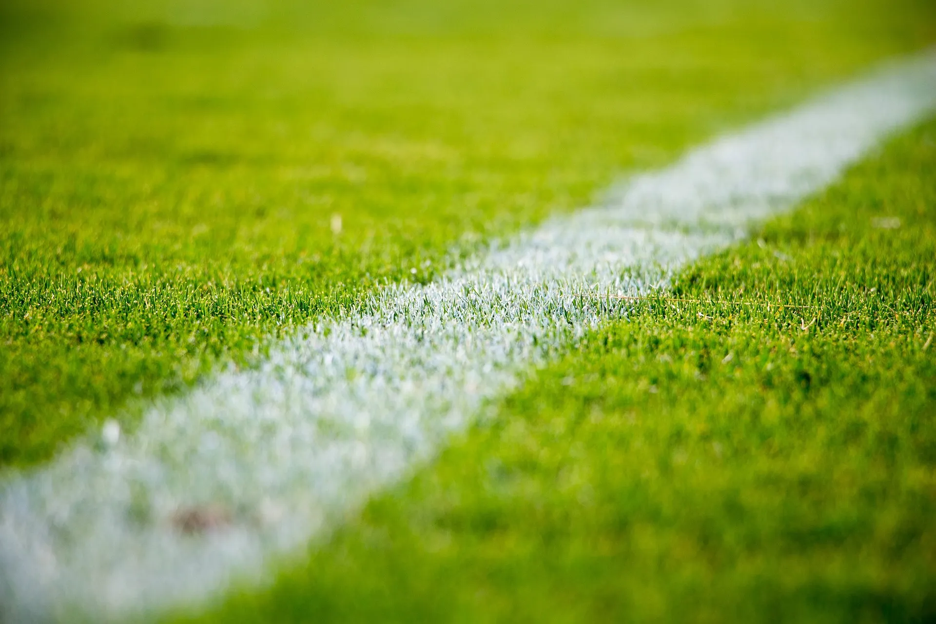 Open grass grounds for activities